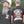 Beards Never Die Zombie T- Shirt